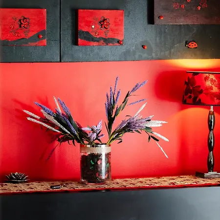 Casa Coelho 알부페이라