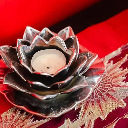 Casa Coelho וילה אלבופיירה