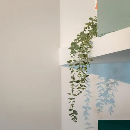 빌라 Casa Coelho 알부페이라