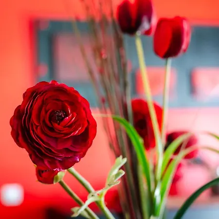 וילה Casa Coelho אלבופיירה