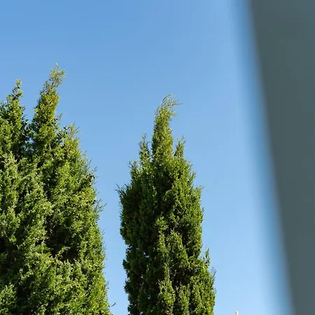 Casa Coelho 알부페이라