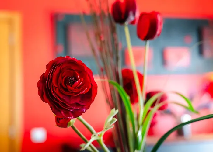 Villa Casa Coelho Albufeira