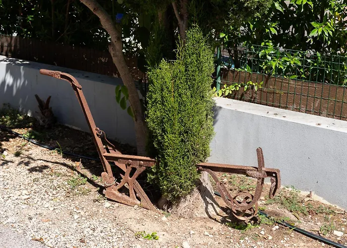 Villa Casa Coelho Albufeira