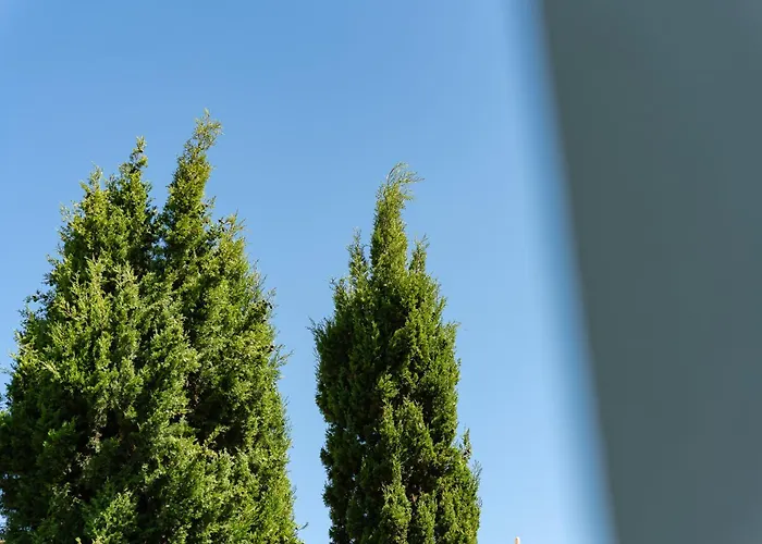 Casa Coelho Albufeira