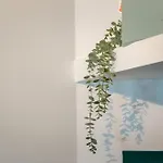 Vila Casa Coelho Albufeira