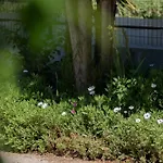 Vila Casa Coelho *