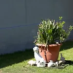 Casa Coelho Vila